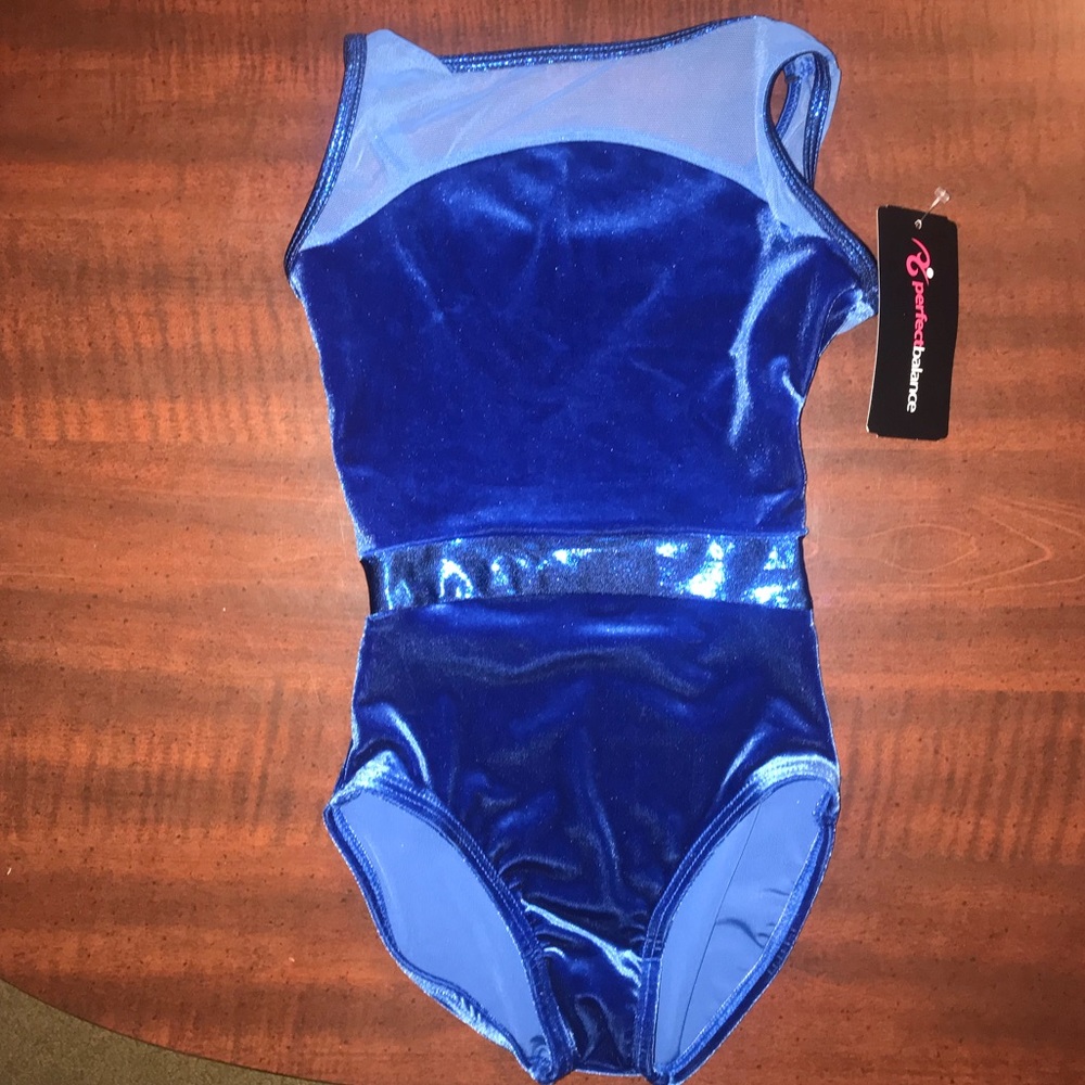 Girls blue velvet and mesh leotard